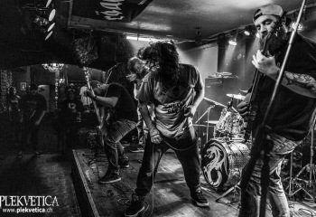 Swarms - Photo by Roli