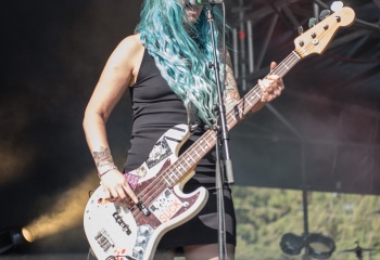 The Baboon Show - Photo by Marc