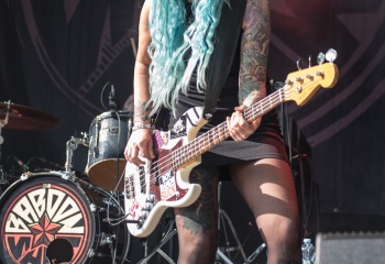 The Baboon Show - Photo by Marc