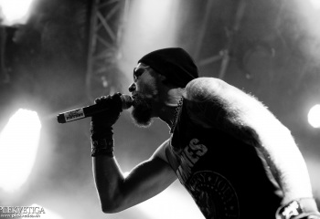 The Hot Pistons - Photo by Eylül