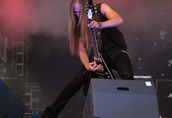 The New Roses -  Photo By Peti