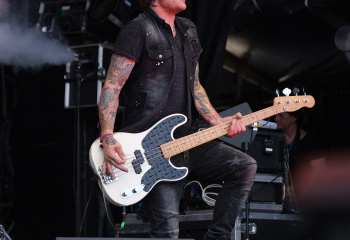 The New Roses -  Photo By Peti