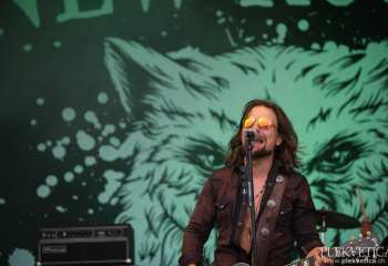 The New Roses -  Photo By Peti