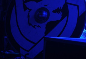 Varg  - Photo By Peti