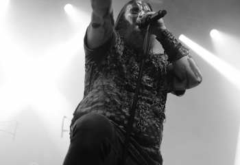 Varg  - Photo By Peti