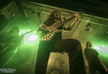 Virvum - Photo By Dänu