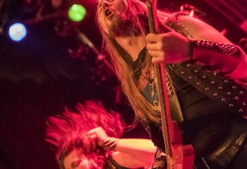 Vulture - Photo By Dänu