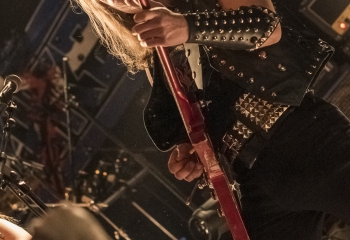 Vulture - Photo By Dänu