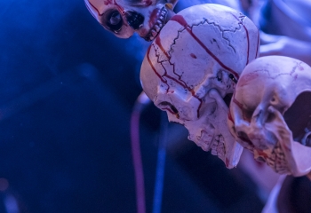 Warkings - Photo By Dänu