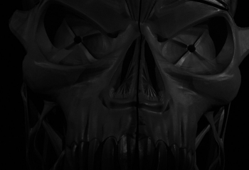 Five Finger Death Punch - Photo By Peti