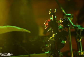 Infinitas - Photo By Dänu