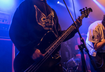 Vein - Photo By Marc