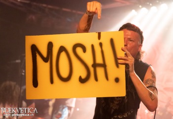Insanity Alert - Photo by Roli