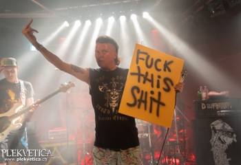 Insanity Alert - Photo by Roli