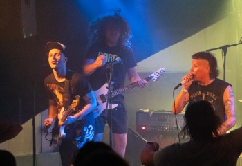 Insanity Alert - Photo by Roli