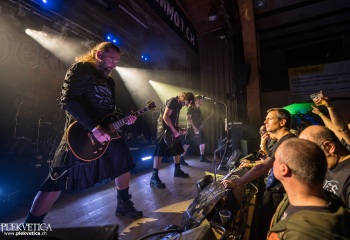 Pertness - Photo by Dänu