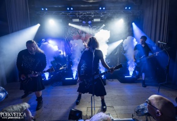 Pertness - Photo by Dänu