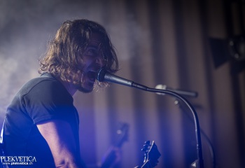 Pertness - Photo by Dänu