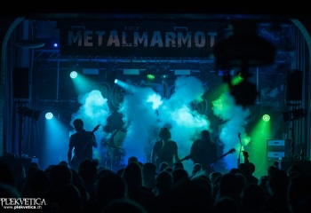 Pertness - Photo by Dänu