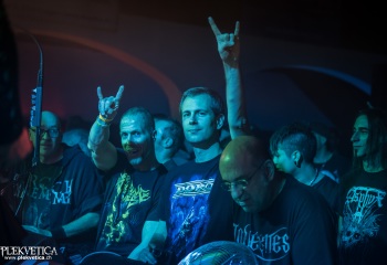 Pertness - Photo by Dänu