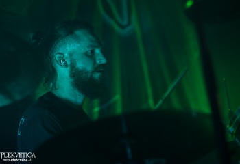 Pertness - Photo by Dänu