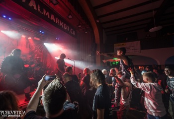 Pertness - Photo by Dänu