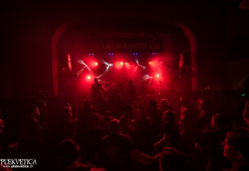 Pertness - Photo by Dänu