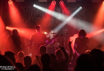 Pertness - Photo by Dänu