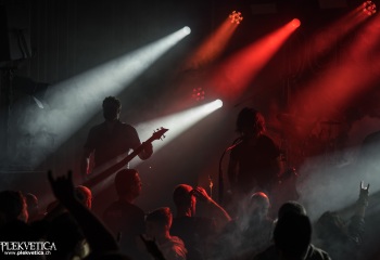 Pertness - Photo by Dänu