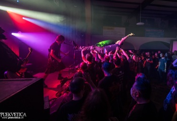 Pertness - Photo by Dänu