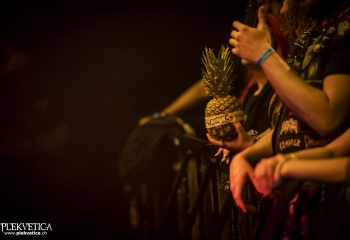 Calarook - Photo By Dänu