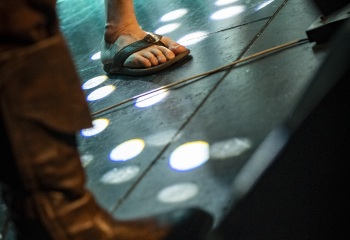 Calarook - Photo By Dänu