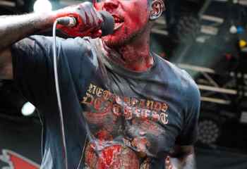 23.07.2022 - Carnation - Photo By Peti