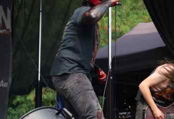 23.07.2022 - Carnation - Photo By Peti