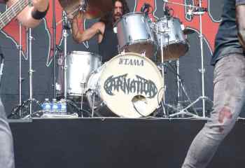 23.07.2022 - Carnation - Photo By Peti