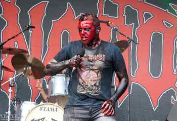 23.07.2022 - Carnation - Photo By Peti