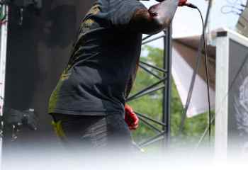 23.07.2022 - Carnation - Photo By Peti