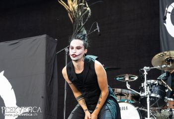 Chaosseum - Photo by Roli