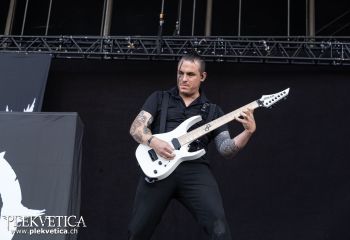 Chaosseum - Photo by Roli