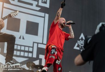 5FDP - Photo by Roli