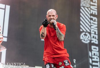 5FDP - Photo by Roli