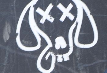 11.06.2022 - Greenfield Festival - 14.20 - ITCHY - Photo By Peti