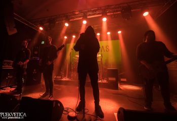 Marianas Rest - Photo by Dänu