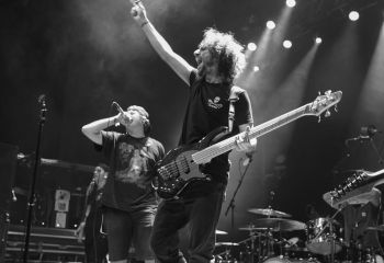 Mayflower - Photo by Pat