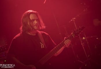 Nice To Eat You - Photo by Dänu