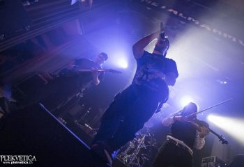 Nice To Eat You - Photo by Dänu