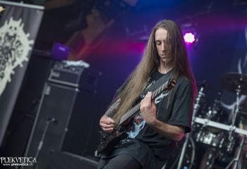 Organectomy - Photo by Dänu