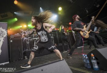 Organectomy - Photo by Dänu