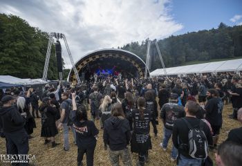 Organectomy - Photo by Dänu