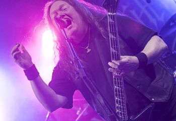 Unleashed - Photo by Dänu